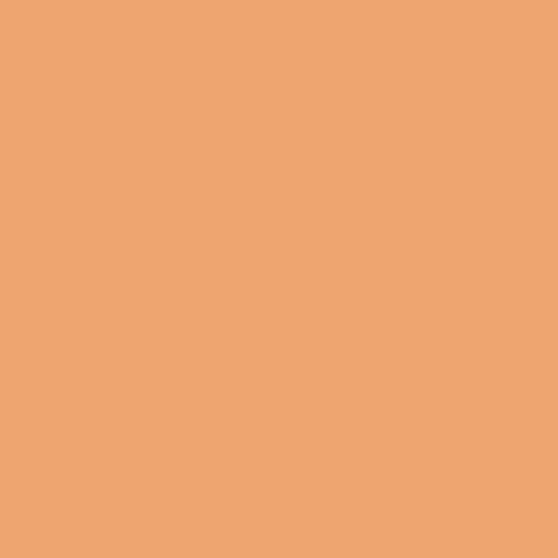 Touche Eclat COLLECTOR MONOGRAM EDITION N. 03 - PEACH RADIANCE