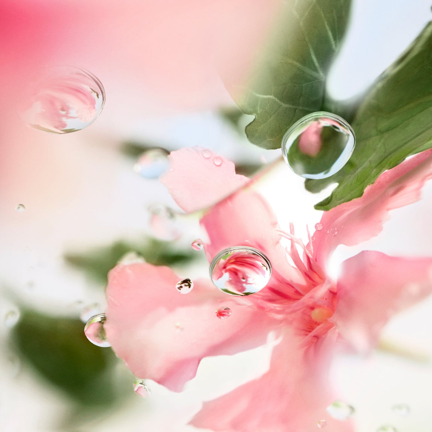 Lancome Ôver The Top