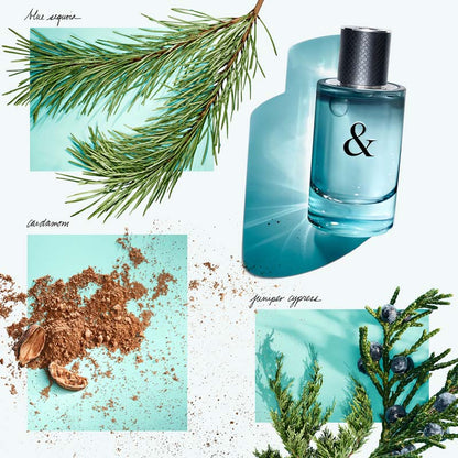 Tiffany & Love For Him