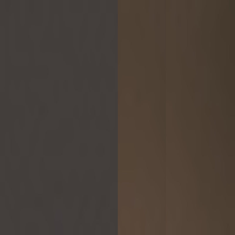 Eyebrow Definition Kit