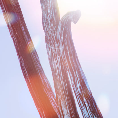 La Vie est belle Soleil Cristal