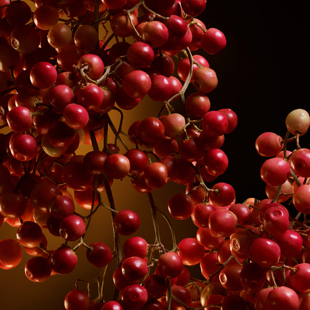 The One Eau de Parfum Intense