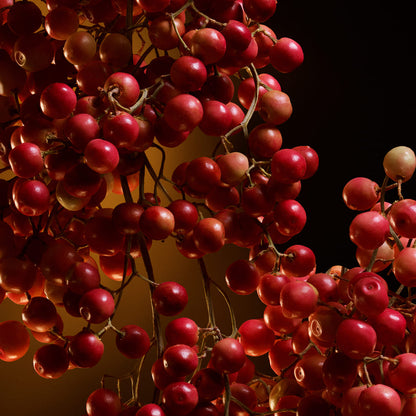 The One Eau de Parfum Intense