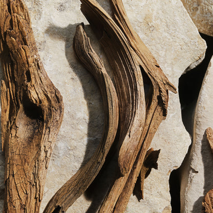 Light Blue Eau de Toilette New