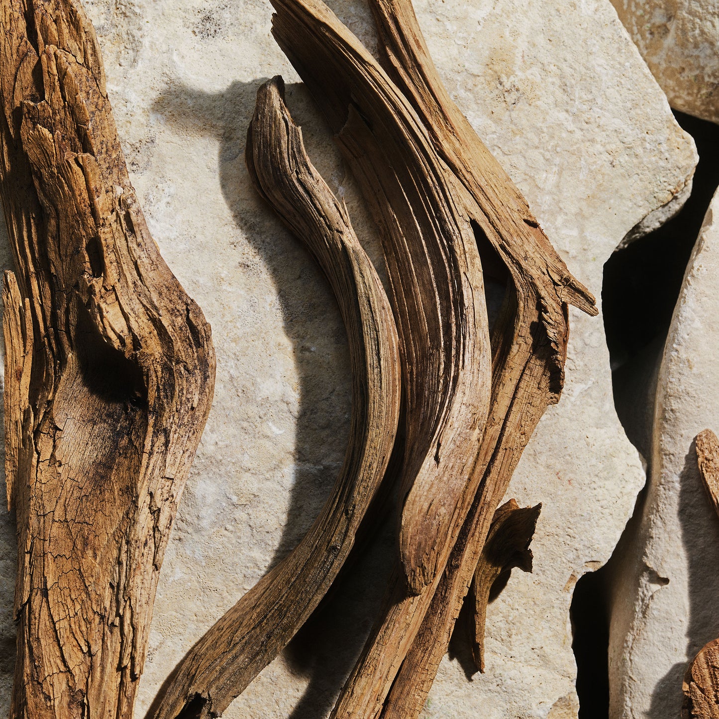 Light Blue Pour Femme Eau de Toilette