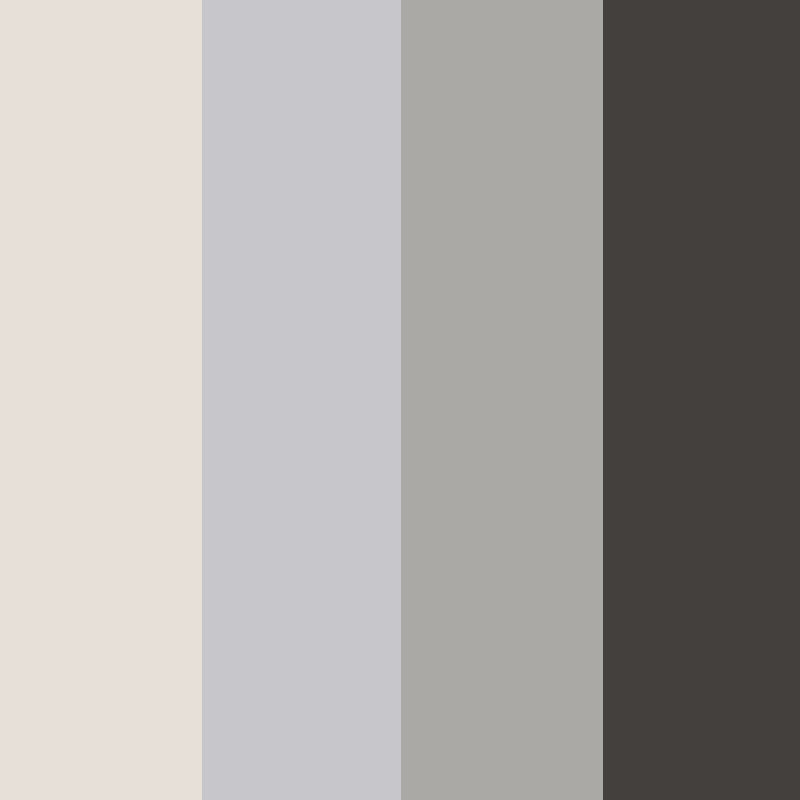 Palette 4 Couleurs