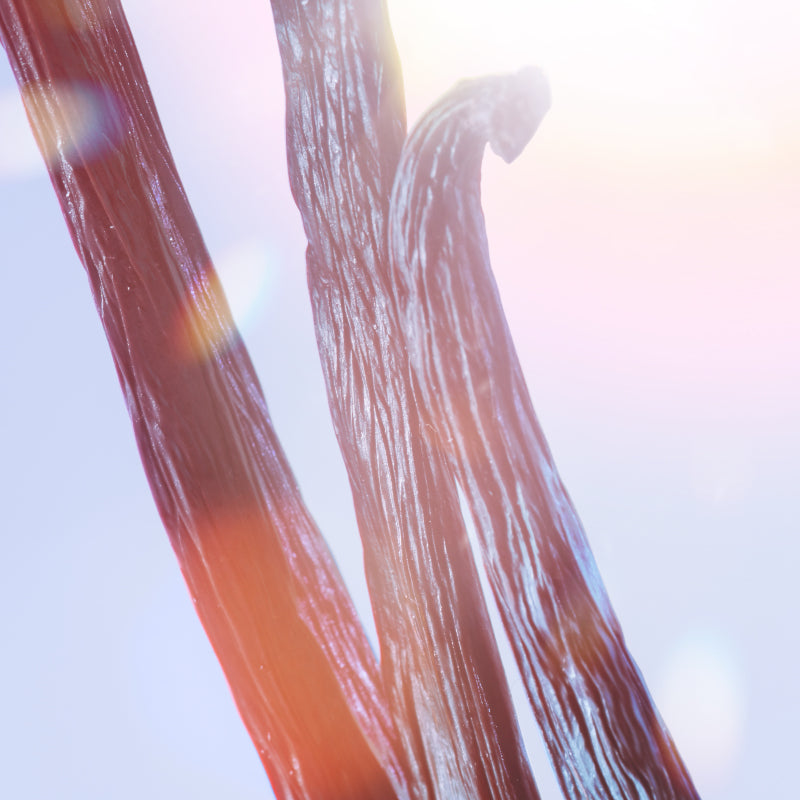 La Vie est belle Soleil Cristal