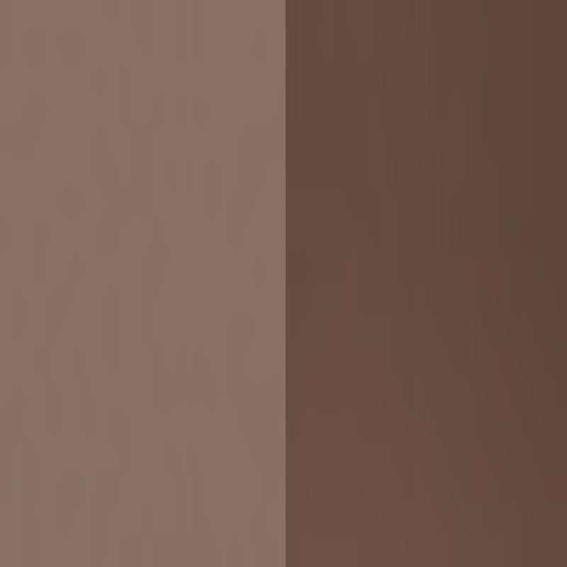 Eyebrow Definition Kit