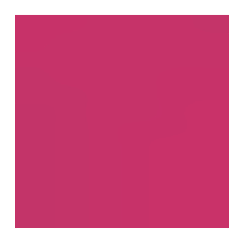 Pure Color Envy Lustre Lipstick