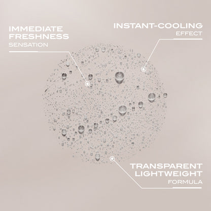 Sun Beauty Sport Mist SPF 30