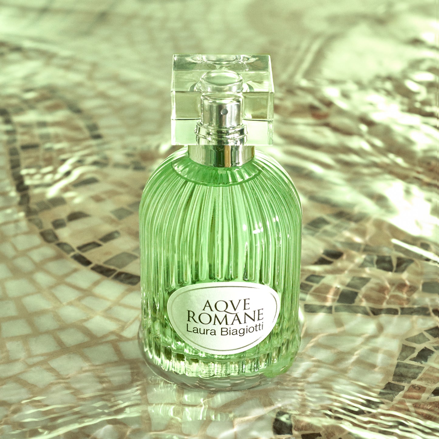 Aqve Romane Divinum Ficus