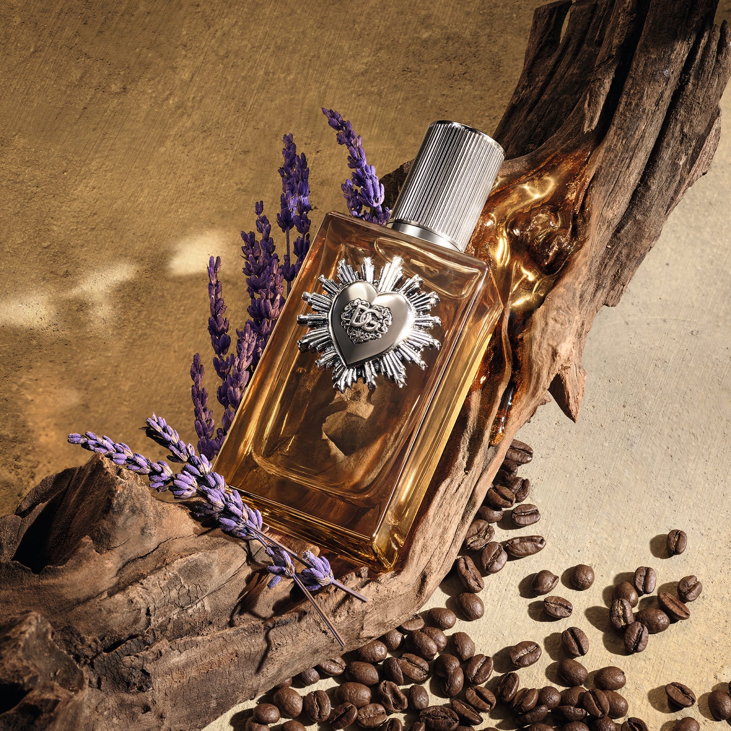 Devotion For Men Parfum