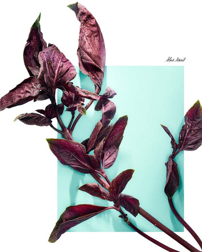 Tiffany & Love For Her