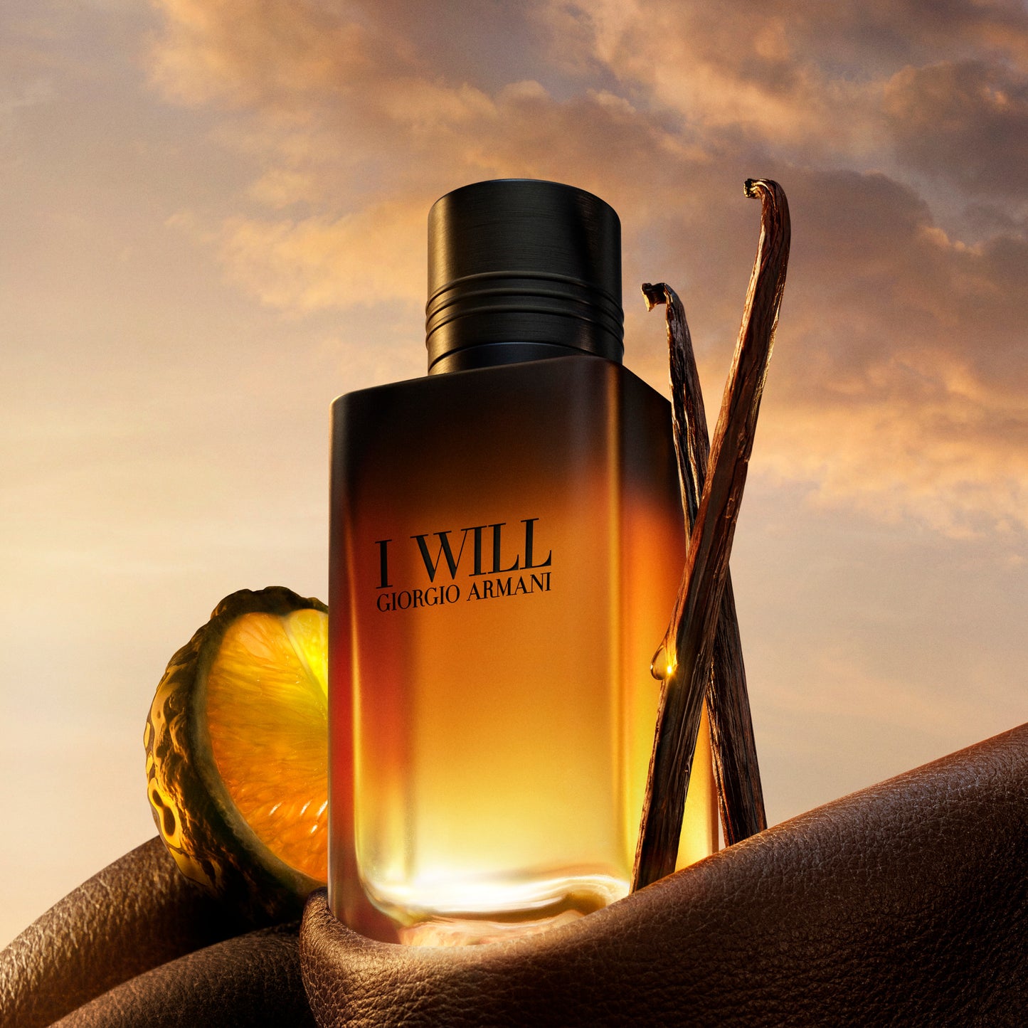 I WILL Eau de Parfum 100 ML Ricarica