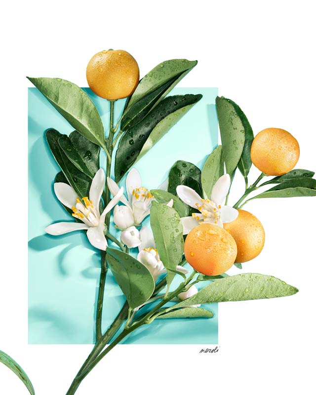 Tiffany & Love For Her