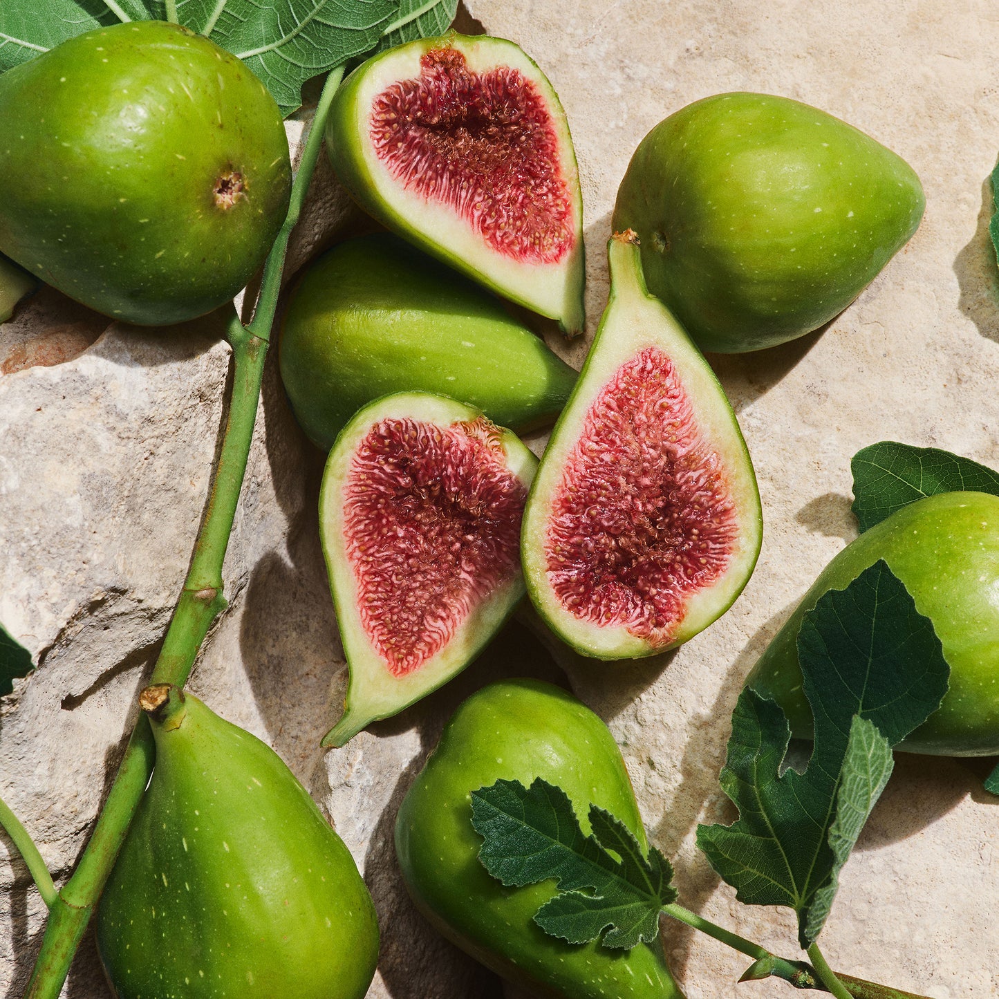 Light Blue Capri In Love Pour Homme Eau de Parfum New