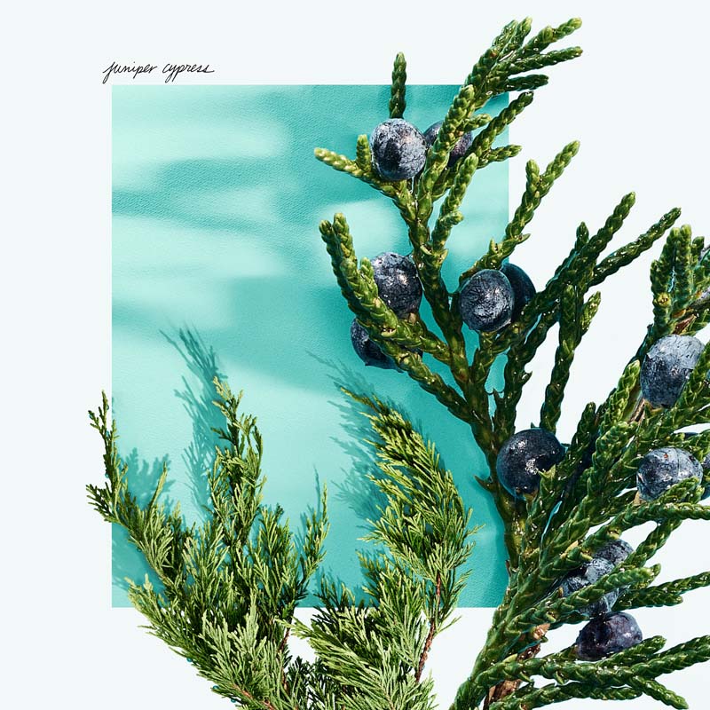 Tiffany & Love For Him